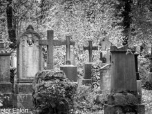 Grabsteine und Figuren  München Bayern Deutschland by Peter Ehlert in Fotowalk_Südfriedhof