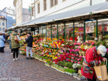 Markt  Bozen Südtirol Italien by Peter Ehlert in Bozen - Bolzano